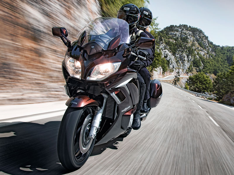 Kradblatt &#8211; Staging