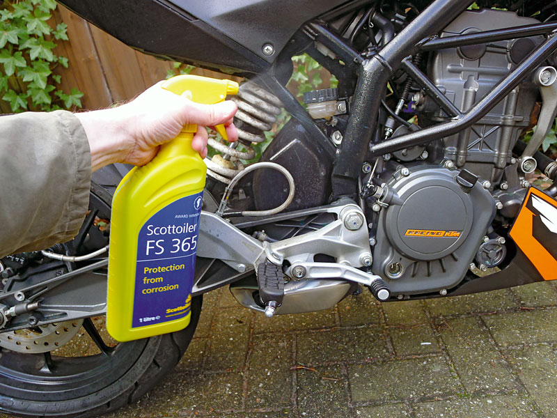 Kradblatt &#8211; Staging