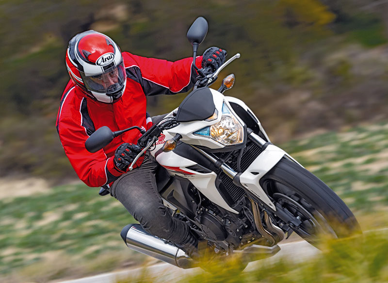 Kradblatt &#8211; Staging