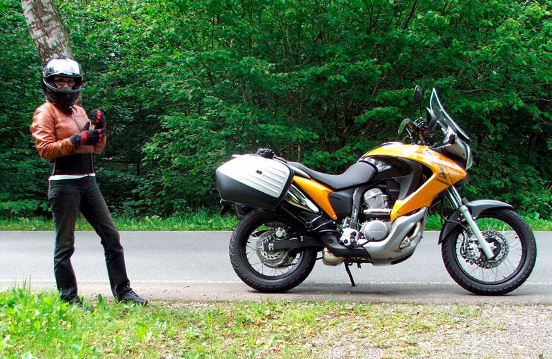 Kradblatt &#8211; Staging