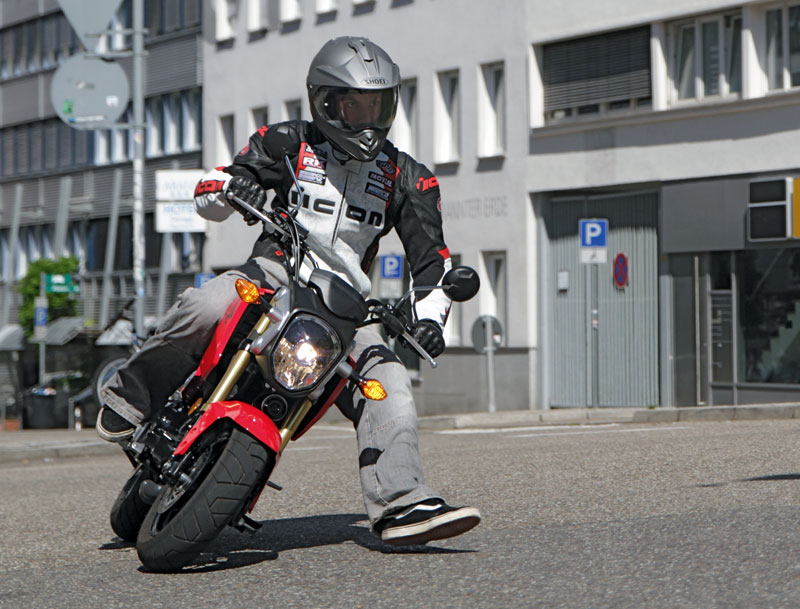 Kradblatt &#8211; Staging