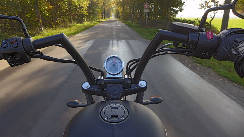 Kradblatt &#8211; Staging