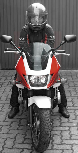 Kradblatt &#8211; Staging