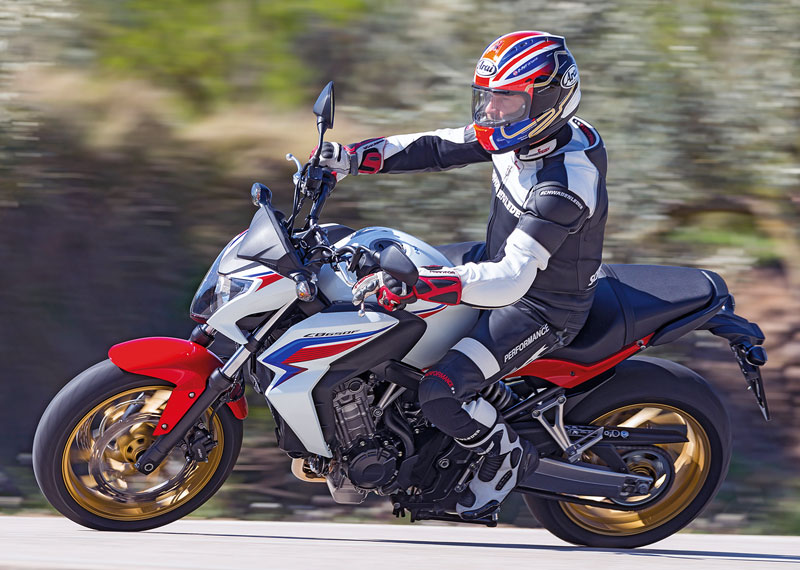 Kradblatt &#8211; Staging