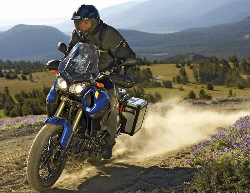 Kradblatt &#8211; Staging