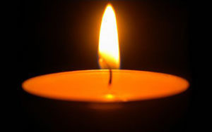 Kradblatt &#8211; Staging