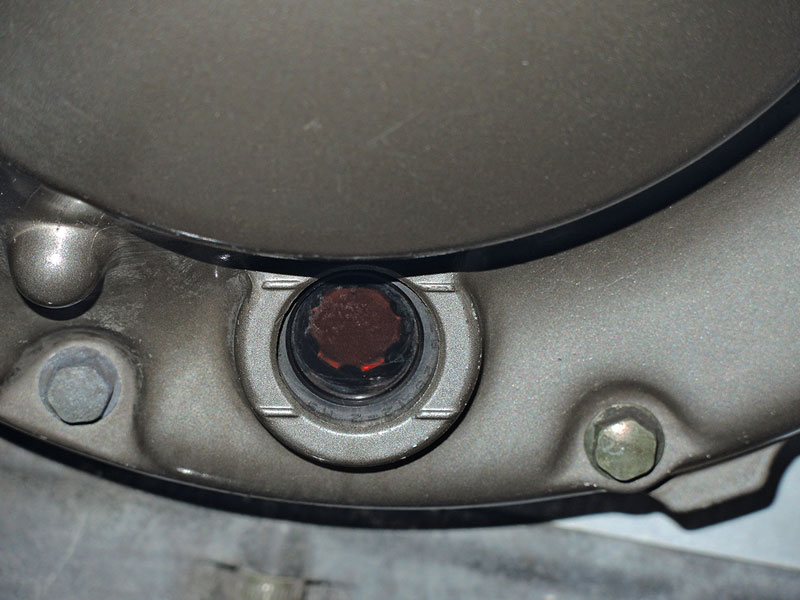 Kradblatt &#8211; Staging