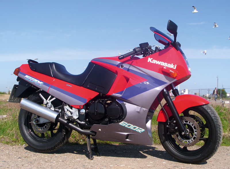 Kradblatt &#8211; Staging