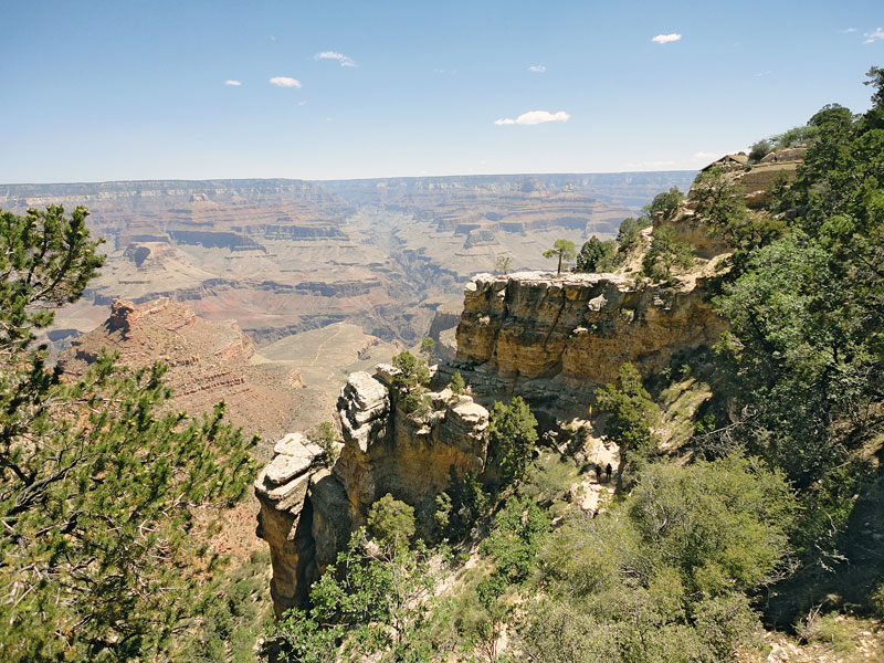 Kradblatt – Staging