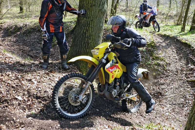 Kradblatt &#8211; Staging