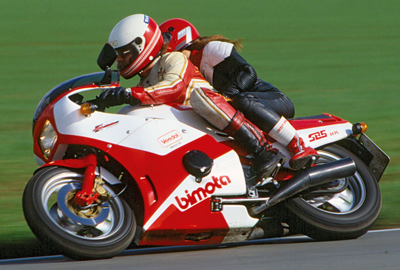 Kradblatt &#8211; Staging