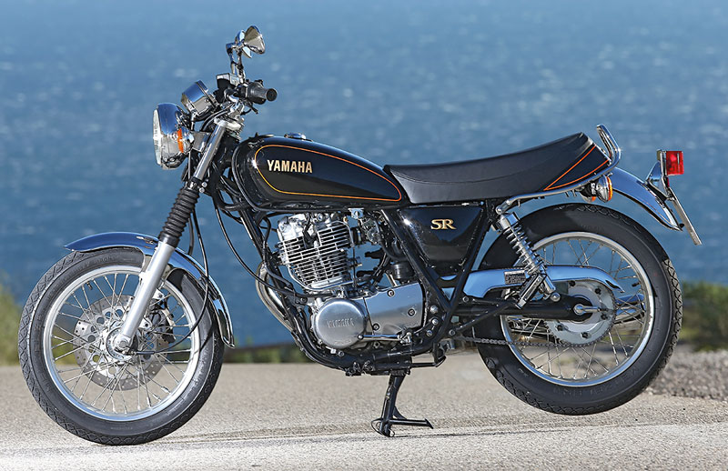 Kradblatt &#8211; Staging