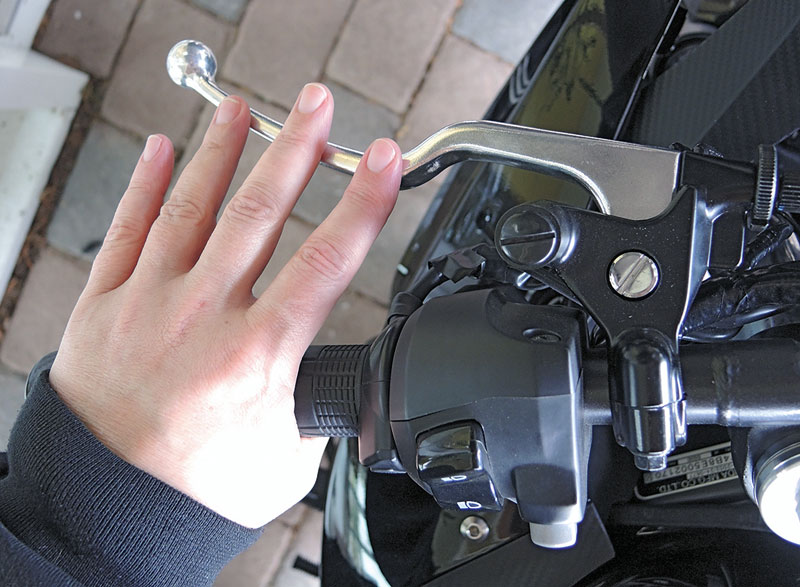 Kradblatt &#8211; Staging