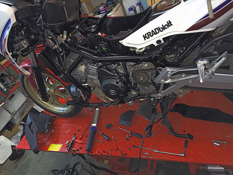 Kradblatt &#8211; Staging