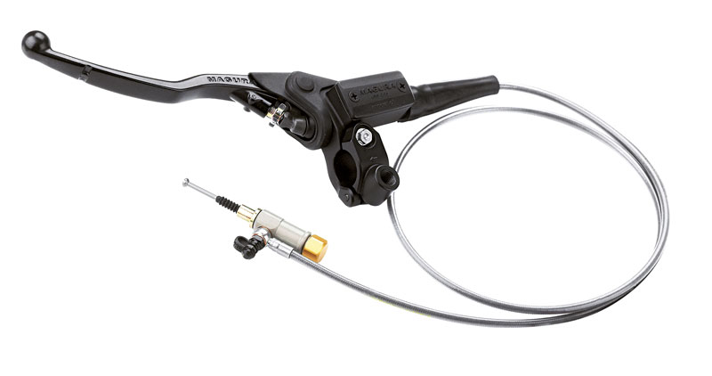 Kradblatt &#8211; Staging