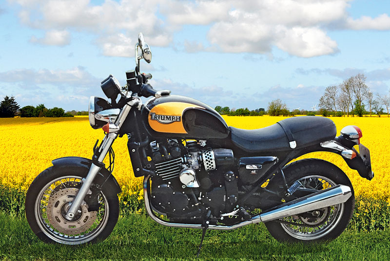 Kradblatt &#8211; Staging