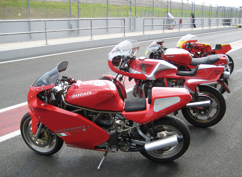 Kradblatt &#8211; Staging