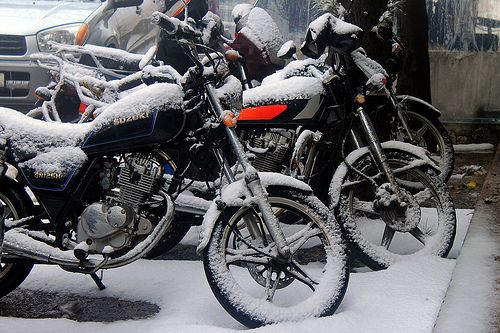 Kradblatt &#8211; Staging