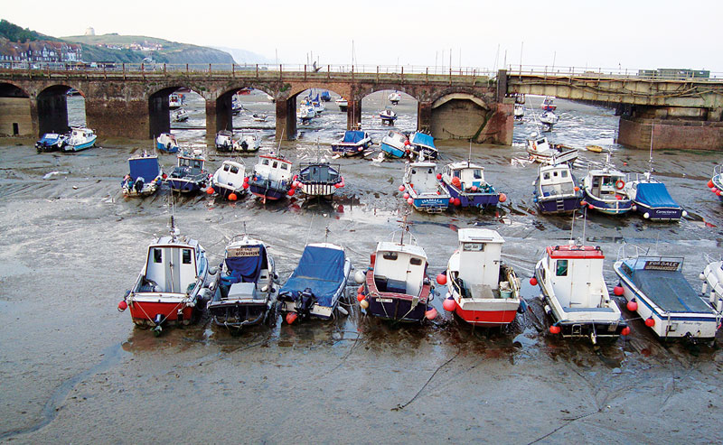 Kradblatt &#8211; Staging