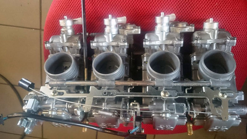 Kradblatt &#8211; Staging