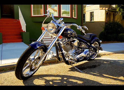 Kradblatt &#8211; Staging