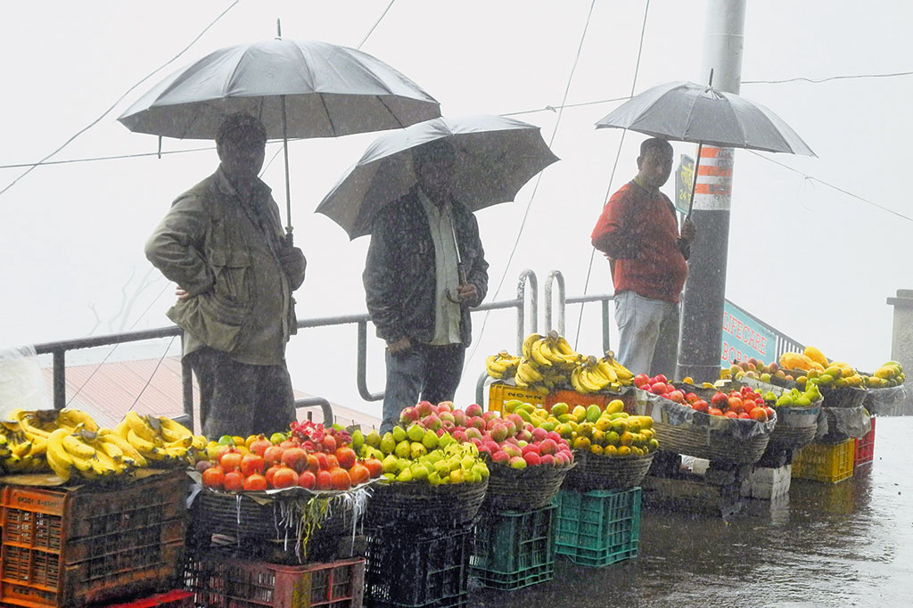 Kradblatt &#8211; Staging