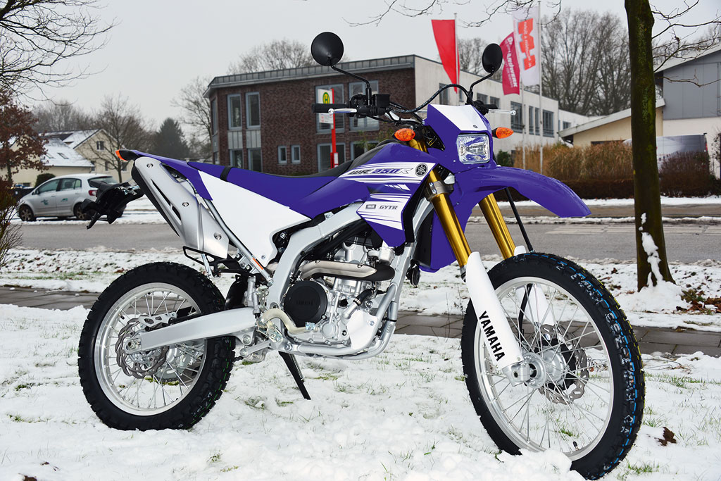 Kradblatt &#8211; Staging