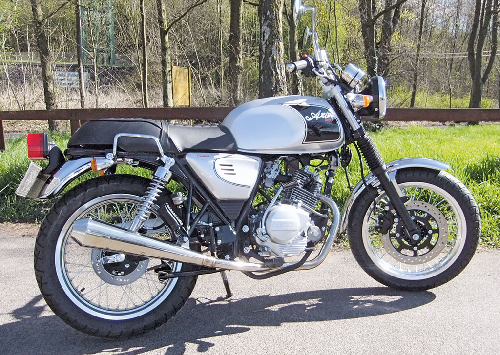 Kradblatt &#8211; Staging