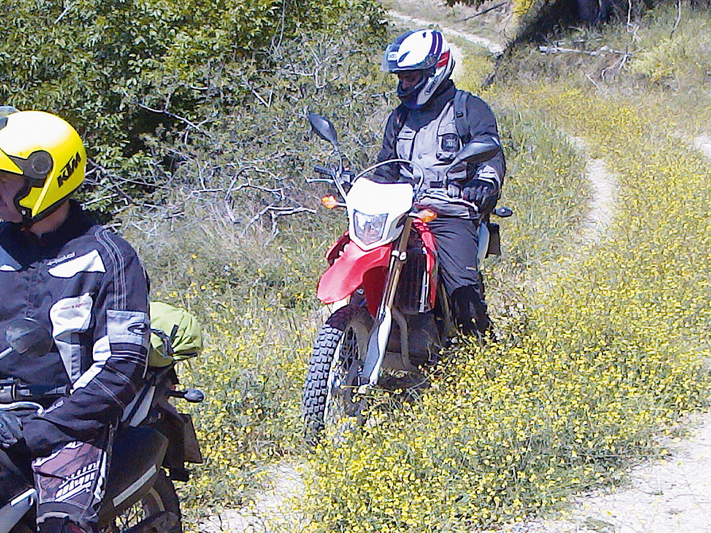 Kradblatt &#8211; Staging