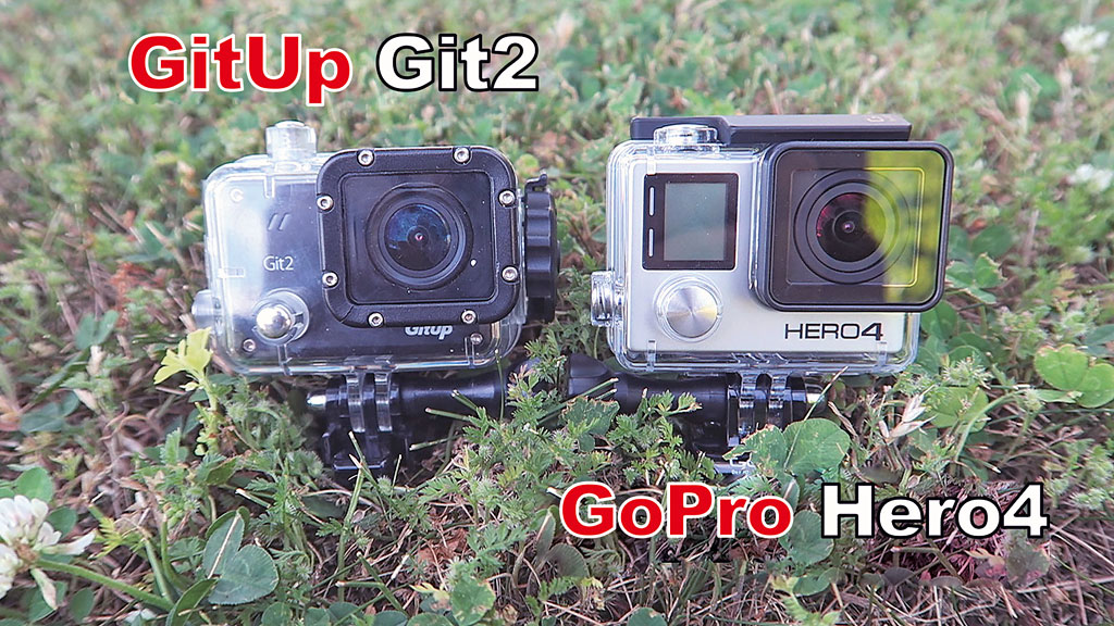 Kradblatt &#8211; Staging