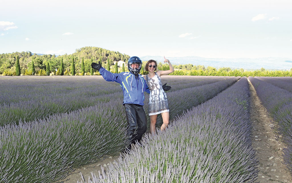 Kradblatt &#8211; Staging