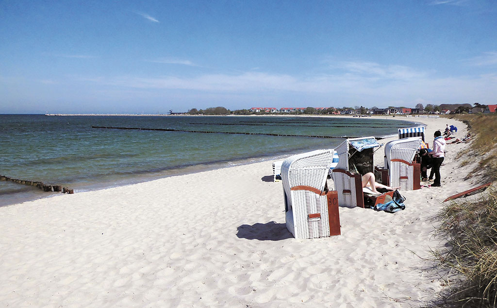 Kradblatt &#8211; Staging