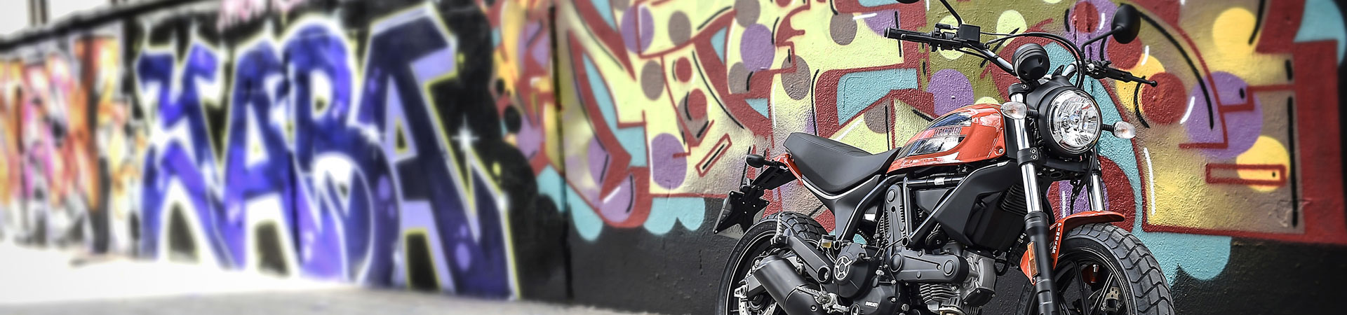 Kradblatt &#8211; Staging