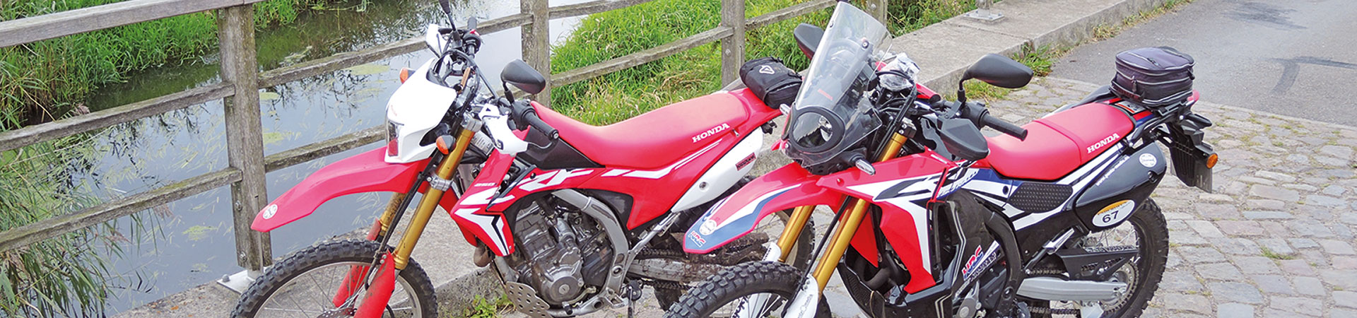 Kradblatt &#8211; Staging