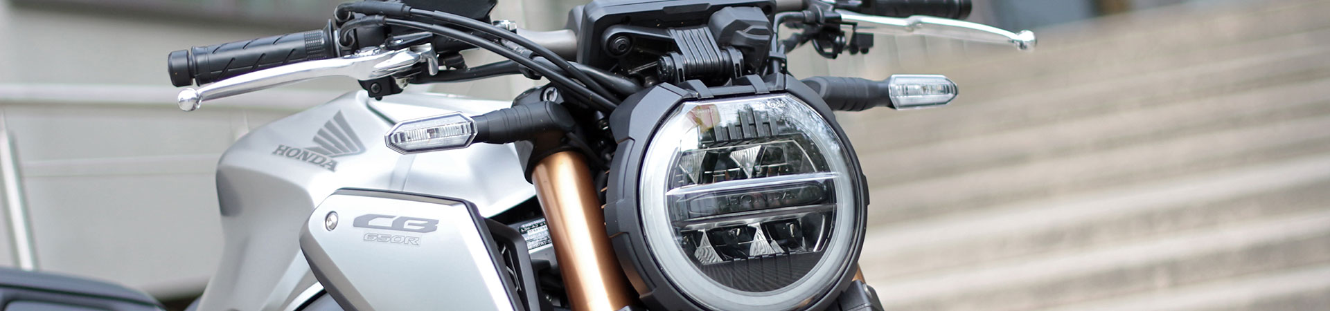 Kradblatt &#8211; Staging