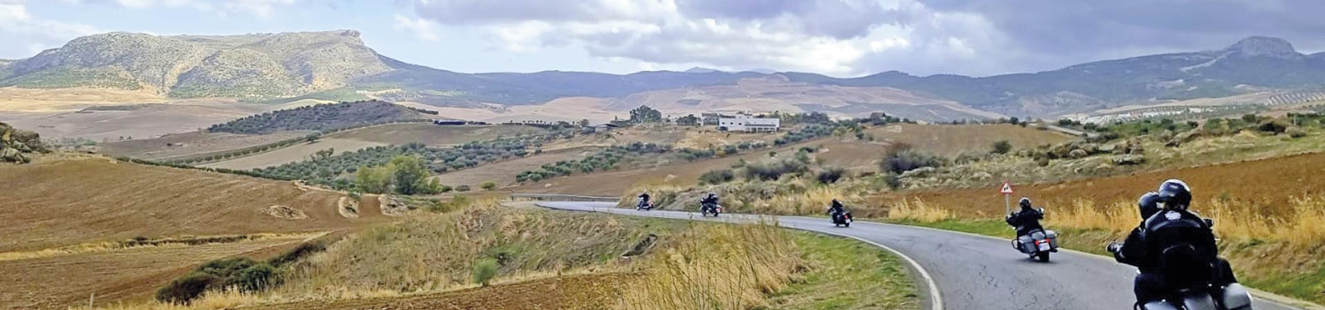 Kradblatt – Staging