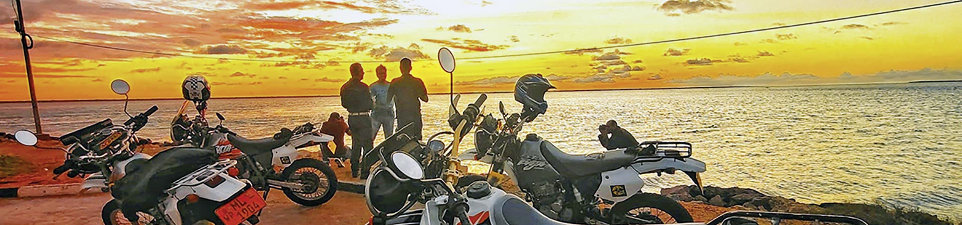 Kradblatt &#8211; Staging