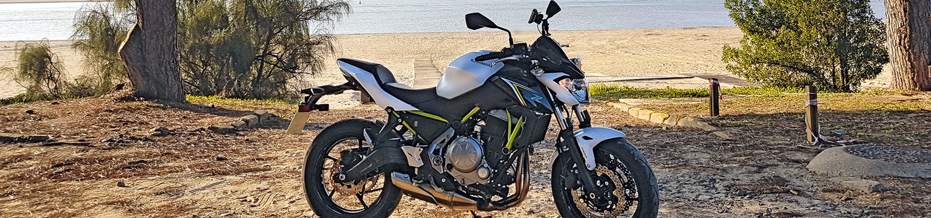 Kradblatt &#8211; Staging