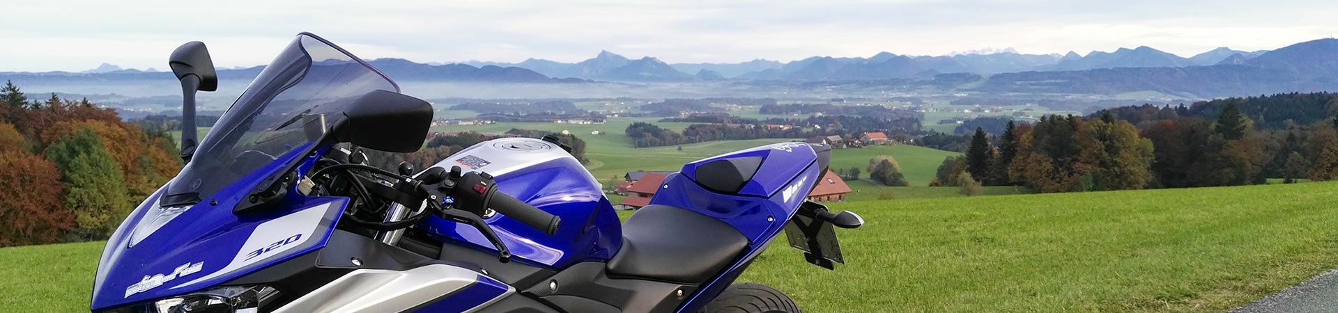 Kradblatt &#8211; Staging