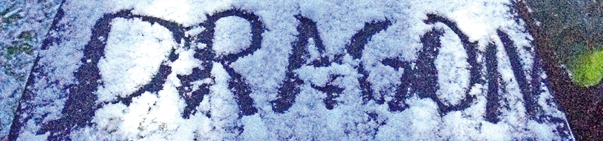 Kradblatt &#8211; Staging