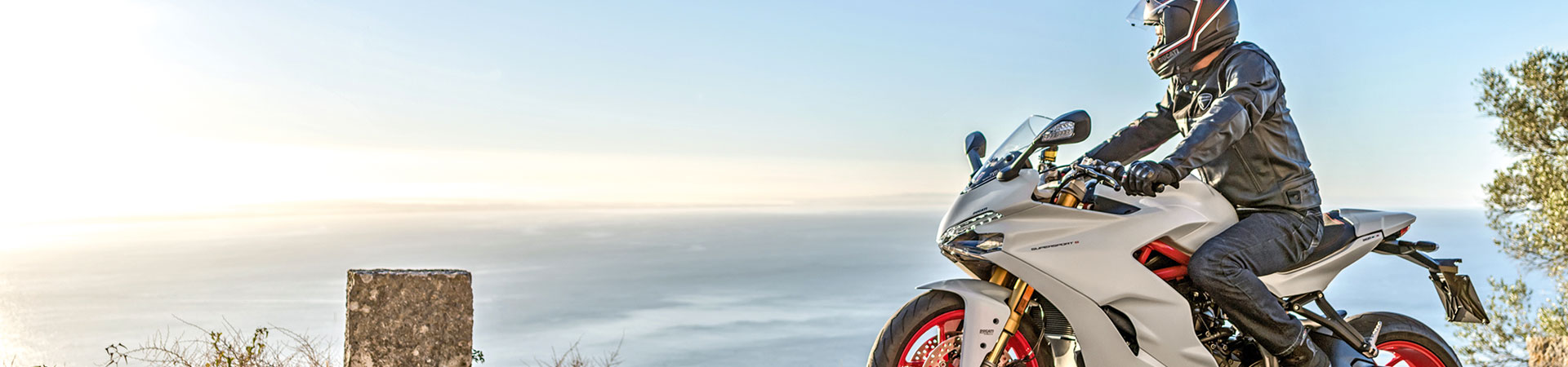 Kradblatt &#8211; Staging