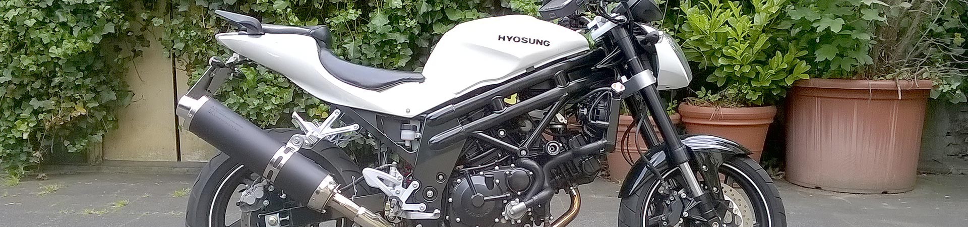 Kradblatt &#8211; Staging