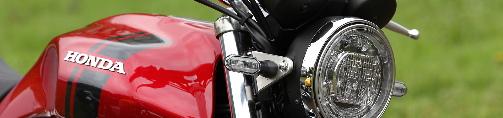 Kradblatt &#8211; Staging