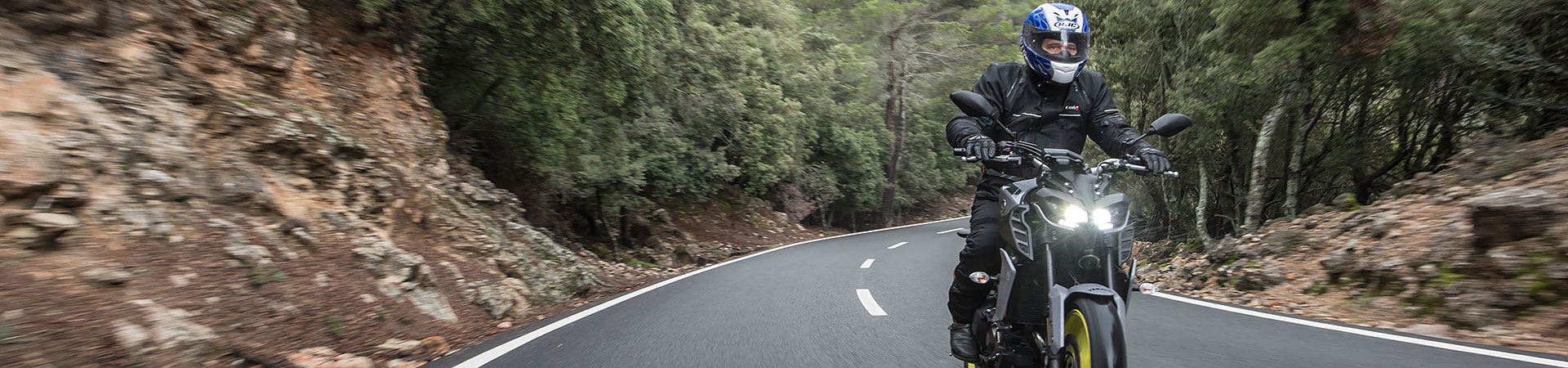 Kradblatt &#8211; Staging