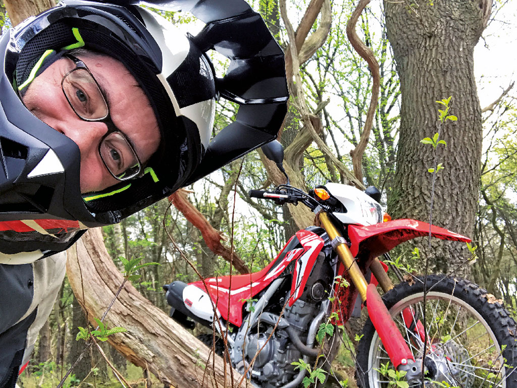 Kradblatt &#8211; Staging