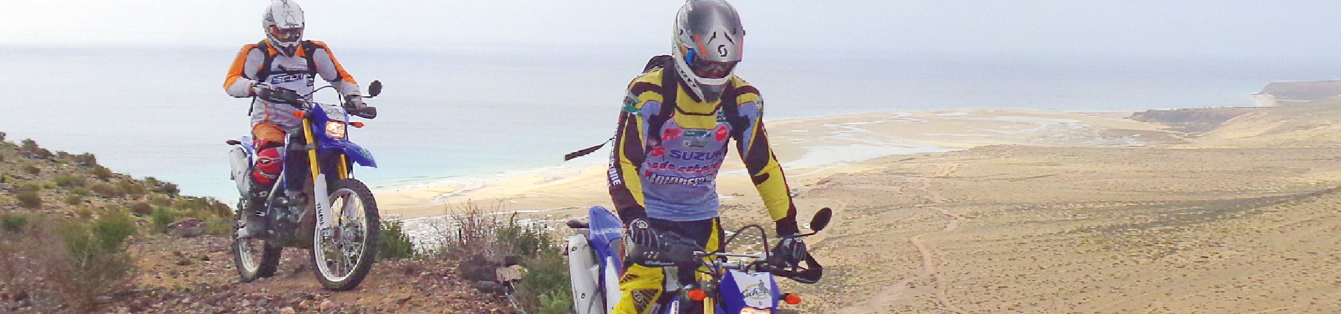 Kradblatt &#8211; Staging