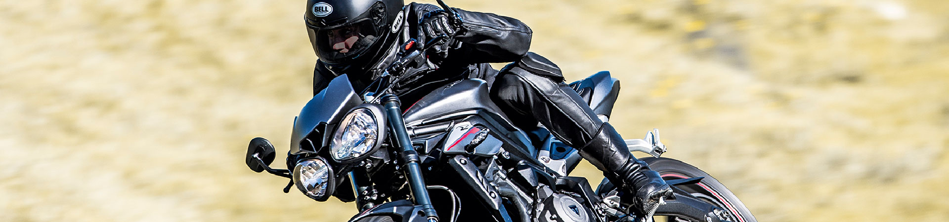 Kradblatt &#8211; Staging