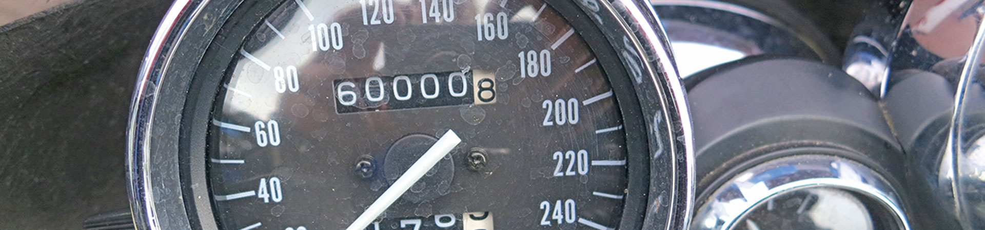 Kradblatt – Staging