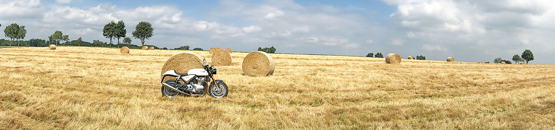 Kradblatt &#8211; Staging