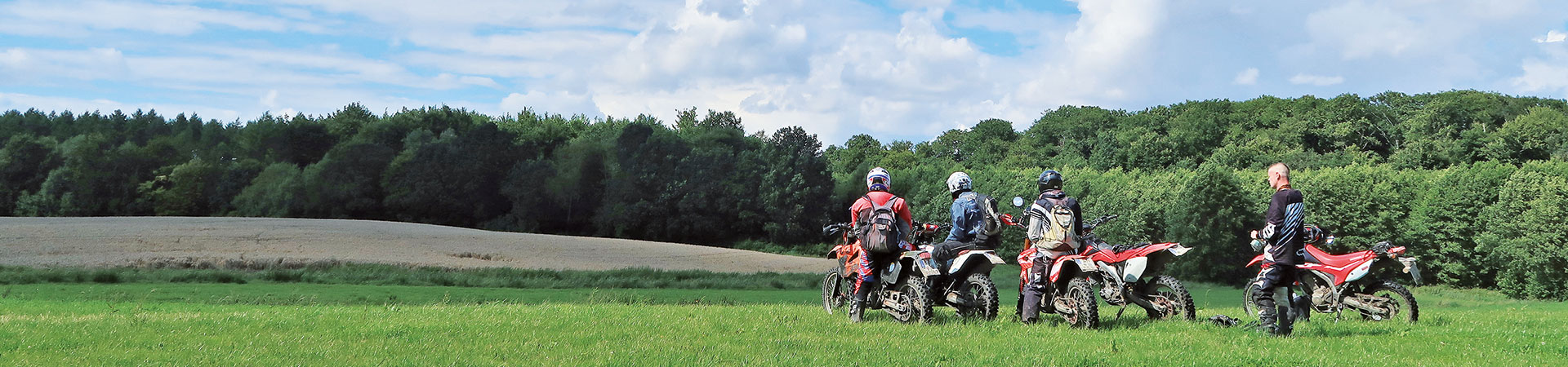 Kradblatt &#8211; Staging